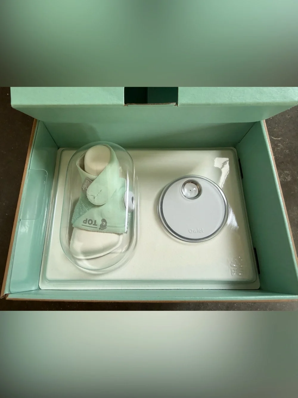 Owlet Dream Sock